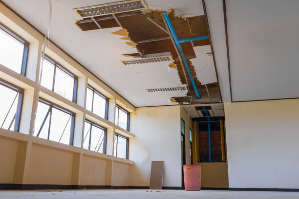Best Basement water damage restoration  in Emerald Isle, NC