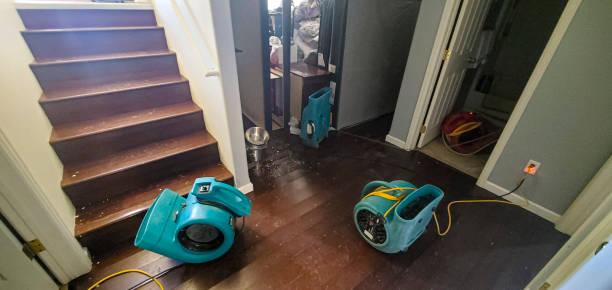 Best Commercial water damage restoration  in Emerald Isle, NC