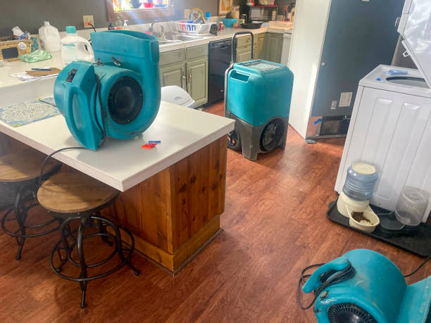Best Local water damage restoration  in Emerald Isle, NC