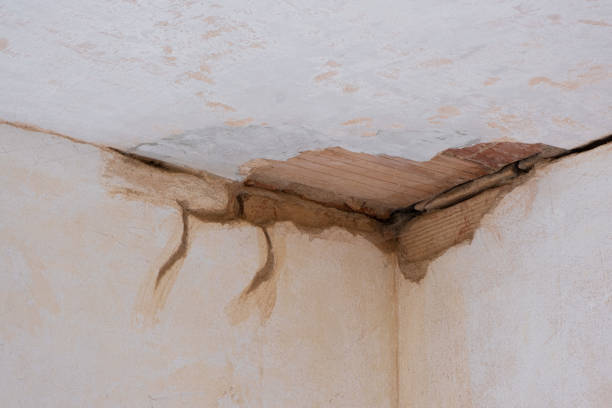  Emerald Isle, NC Water damage restoration Pros