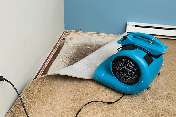 Professional Water damage restoration in Emerald Isle, NC